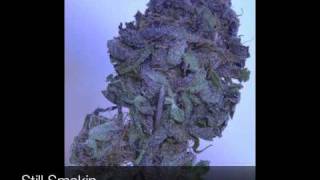 HIT SKREWFACE-STILL SMOKIN