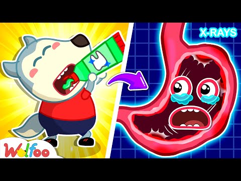Stop, Wolfoo! Don't Eat Toothpaste! | Home Safety Rules for Kids 🤩Wolfoo Kids Cartoon