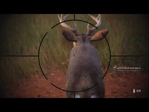 I shot a deer but it wont die - Hunting Simulator 2 PS5
