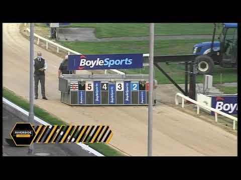 Ballyhimikin Jet - 2020 Boylesports Irish Greyhound Derby Round 1 Heat 17
