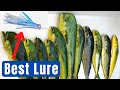 How To Catch Mahi Mahi Best Lures Baits And Trolling Techniques