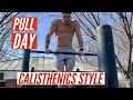 CALISTHENIC PULL DAY | BODYWEIGHT BACK WORKOUT FOR STRENGTH AND MUSCLE GROWTH