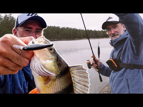 Bass on Twitchbait: How to shoot from the shore!