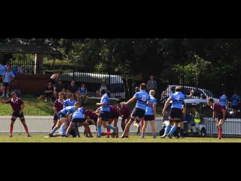 Joeys 1st XV vs Marist Canberra