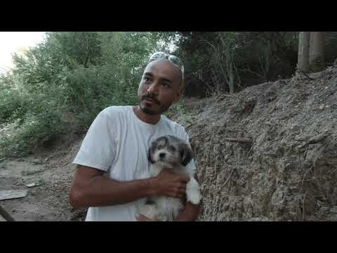 Man build a house # 16 / Cum am  izolat fundația / Oul sau găina! / haules baules ep 44