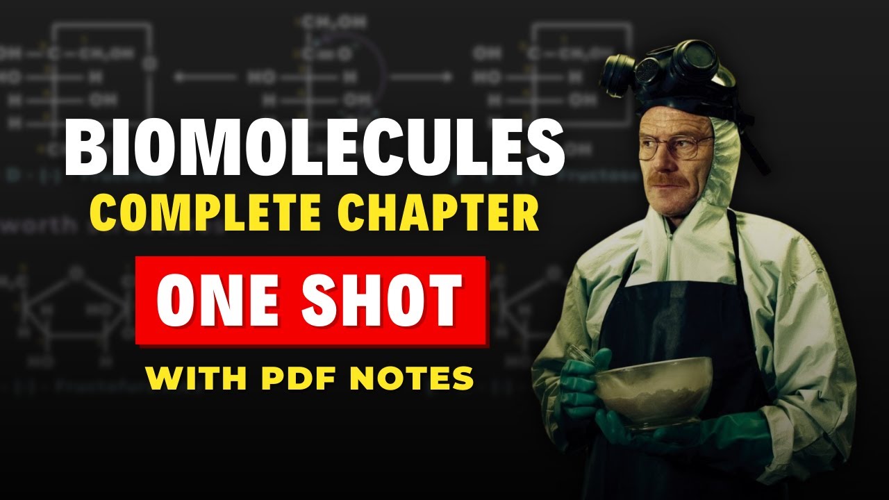Biomolecules Class 12 Chemistry One Shot for JEE Mains 2026