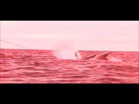 eOn - Cockbag (Official music video)