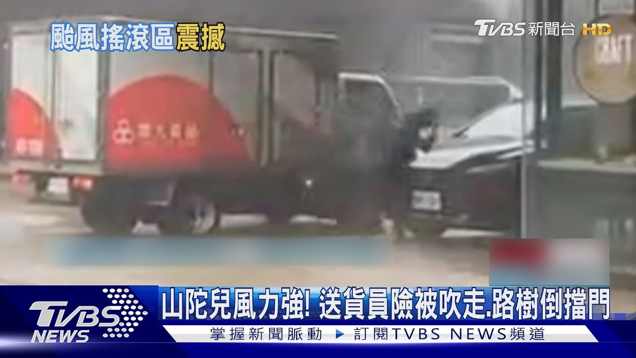 山陀兒風力強! 送貨員險被吹走、路樹砸車毀