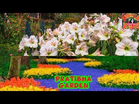 #PRANITA INTERNATIONAL VIDEOS💥💥💥💥💥 #7_ shorts