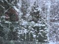 Snowfall ~ Dan Fogelberg ~