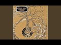 Open the Skies - Photon Band - Topic Open the Skies