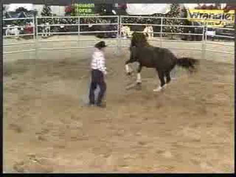 My Horse Pulls Back Series: Teaching to lead through turns.