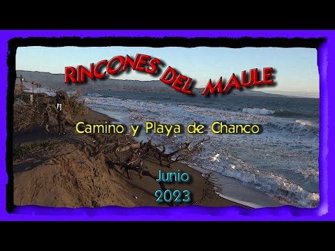 202306 - Chanco Playa