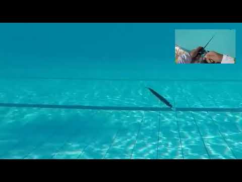 Vídeo Isca Sun Fishing Hitchcock 95 (M600X)