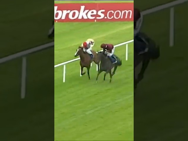 Thumbnail for Post ID: bJBd6rV6po0