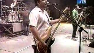 Molotov - Chinga tu Madre (Live) rare pro shot