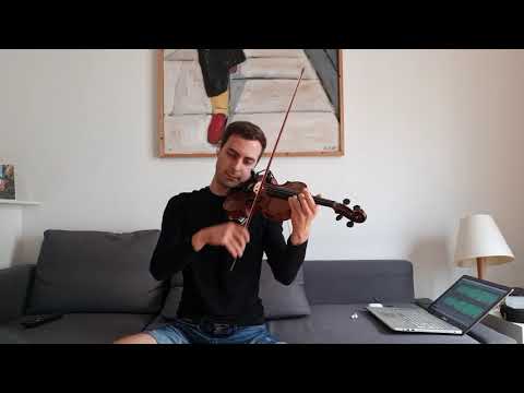John Williams - Star Wars - The imperial march - violin cover (Leonard Furda - Violin)