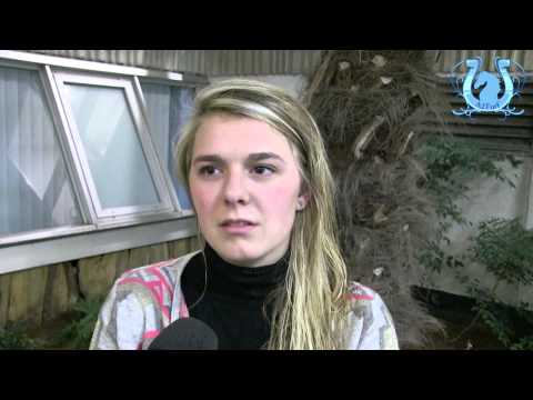 Elisabeth ALLAIRE passe dans le rang des professionnels - A2TURF.COM