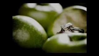 Chantal Kreviazuk - Green Apples [Lyrics]