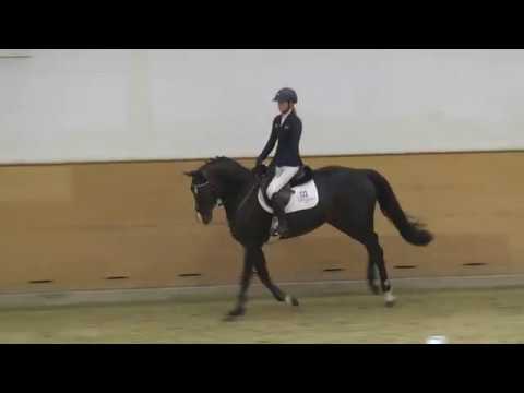 133 Diabolo v. Diarado - Aljano