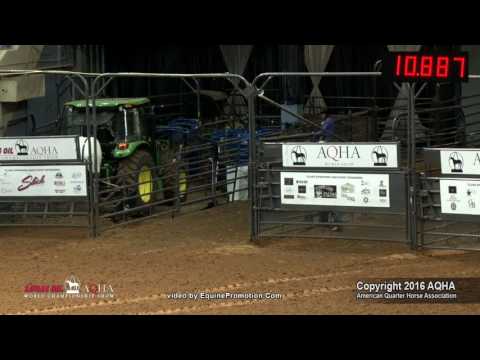 STREAKIN QUEENIE ridden by RYANN LEE PEDONE  - 2016 AQHA World Show (Jr Barrels, FINALS)