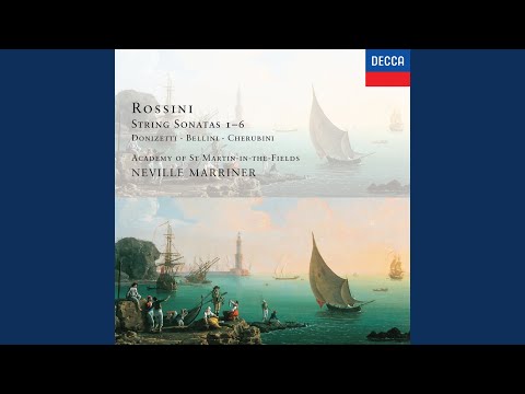 Bellini: Oboe Concerto in E flat - Maestoso e deciso - Larghetto cantabile - Allegro polonaise