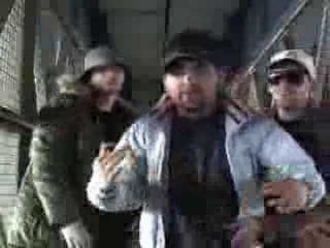 dovete smetterla preview alfagang