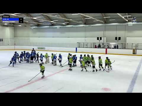 2021.03.14 LEHEL HC - GOODWILL PHARMA SZEGED U12/B.🇭🇺 2.-3.harmad