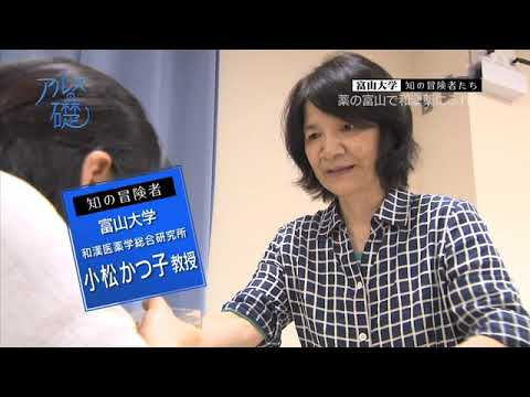 アルスの礎　～富山大学　知の冒険者たち～　#5 薬の富山で和漢薬にふれる 2018年11月1日放送分