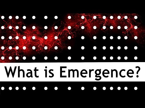 What is emergence? What does 