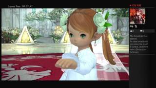 Fox Tail/ Aethelberht Vortigern Ceremony of Eternal Bonding (Wedding)