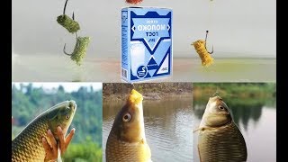 Ссылка
