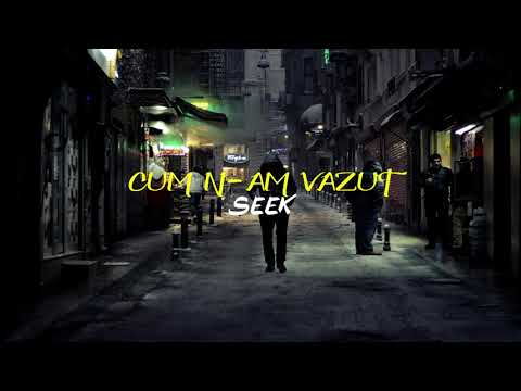 Seek - Cum N-am Vazut (prod. Nxnja)