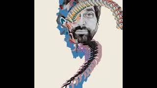 Animal Collective - Recycling