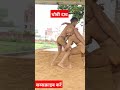 कुश्ती में धोबी दाव Youtubeshorts