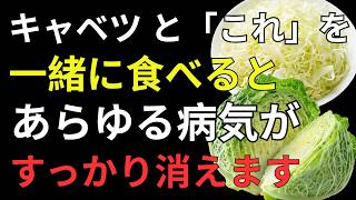 🥬 キャベツと合わせるだけで体が変わる！健康を支える最強食材3選＆避けたいNGな食べ合わせを徹底解説｜人生の知恵