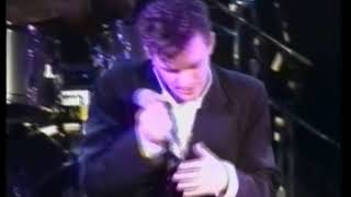 and also the trees 1991 03 01 chicago il cabaret metro a room lives in lucy