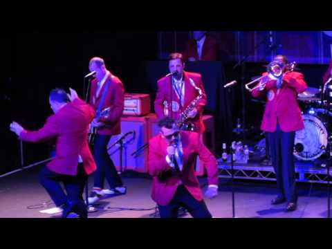 free download mighty mighty bosstones albums