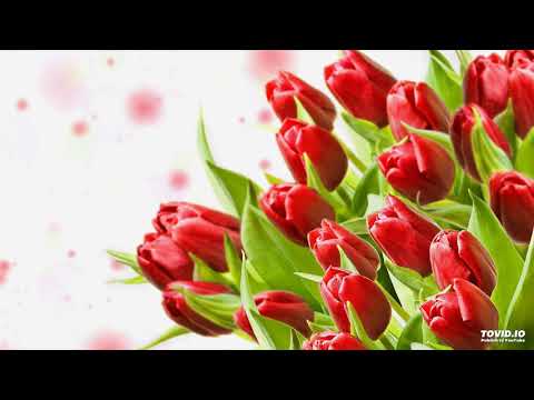 Moment of Silence - Ovidiu Anton Cover