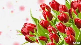 Moment of Silence - Ovidiu Anton Cover