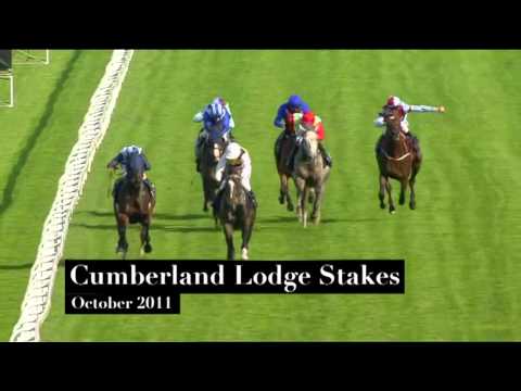 BCS TV - Artemis Goodwood Cup Preview