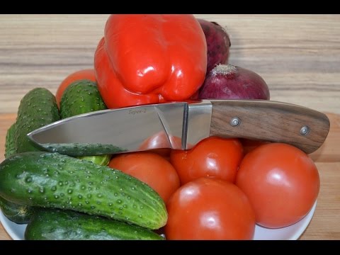 Kitchen monologues. Knife TEREK-2 Kizlyar