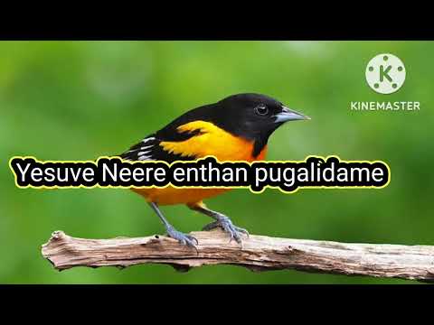 Yesuve Neere enthan pugalidame | Tamil song 484 | TPM Song | Jesus Song