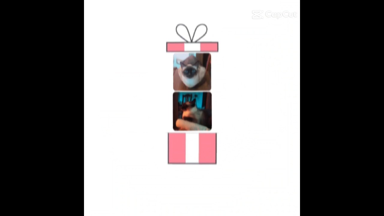 I just discovered templates!💖