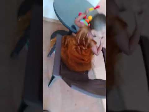 Hanshitha cutting fruits