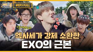 Download lagu EP3. 이 모든 게 26년에 일어날 수 있는 거라니 | ❮엑사세5❯ 제주편 mp3