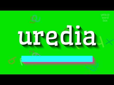 How to say "uredia"! (High Quality Voices)