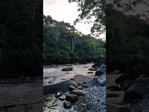 Tena - Napo Ríos✌️