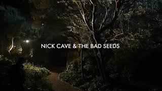 Nick Cave and the Bad Seeds. Give us a kiss
