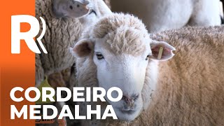 Miniatura do vídeo